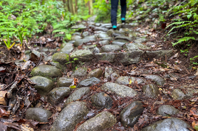 石畳の登山道