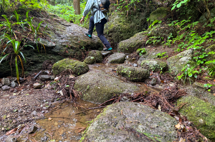 大きな岩がごろごろしている登山道