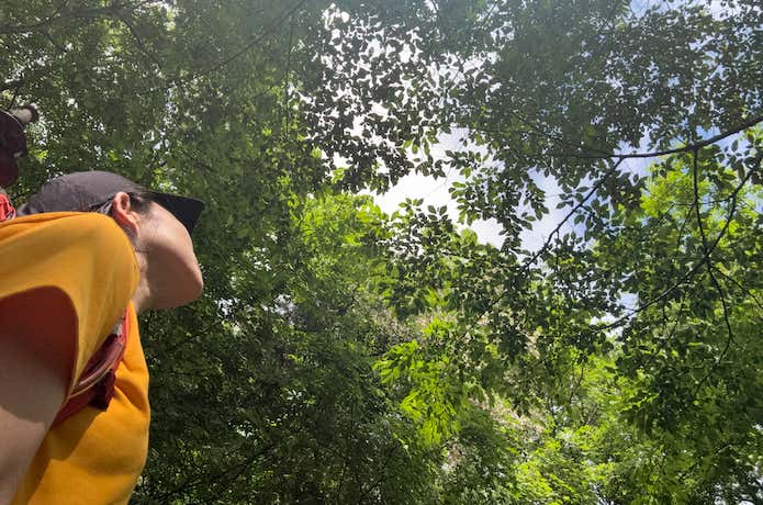 短い距離でもしっかり自然を楽しめるコースをご紹介