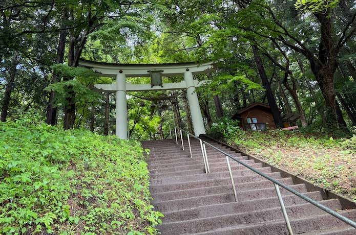 奥社へと続く階段。ラストスパート。