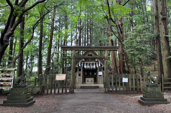 森の中に静かにたたずむ奥社