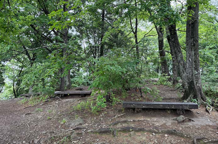 山頂付近は広々しており、休憩できるベンチもたくさんある