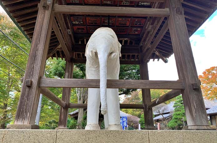 般若山長寿院観音寺