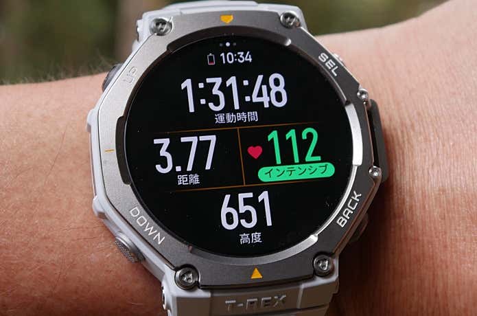 アマズフィット　T-Rex3