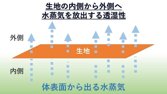 透湿性の説明図