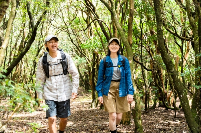 フォックスファイヤーの山シャツレビュー