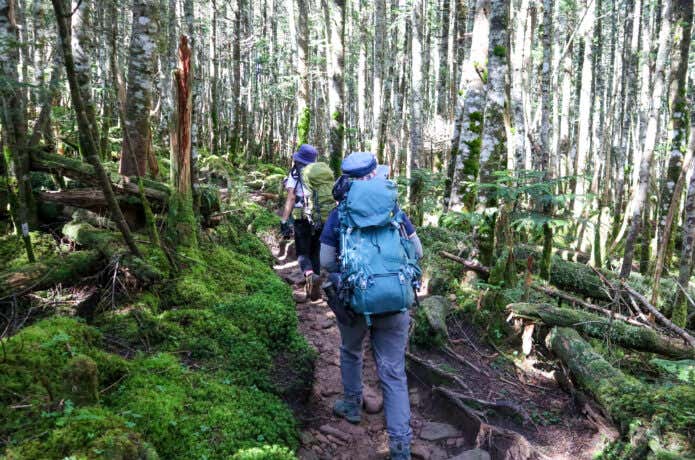 青いアイテム　登山者