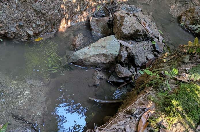 濁った沢の水