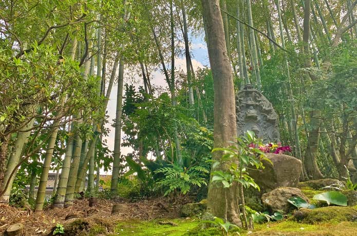 報国寺の竹林