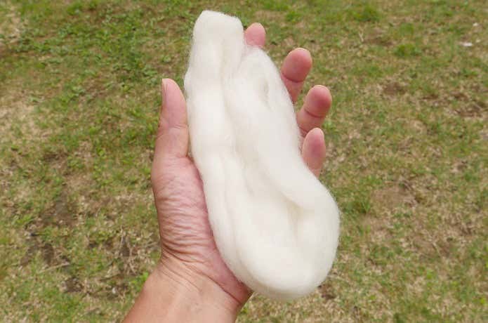 BLISTER WOOL