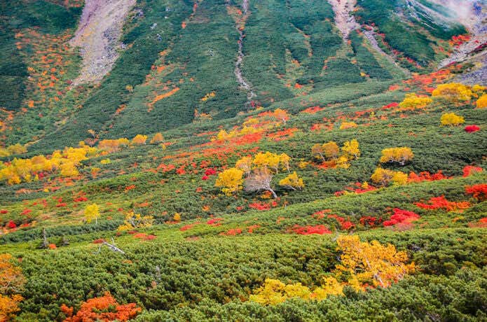 山肌を彩る紅葉