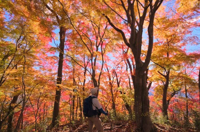 月居山