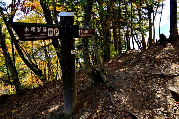 中之倉峠への道