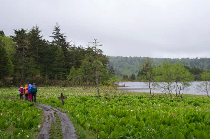 雨の日の登山