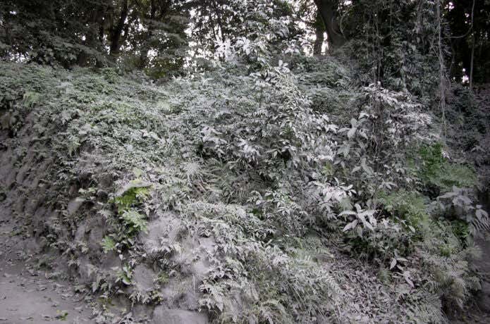 火山灰