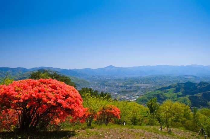 宝登山山頂からの景色