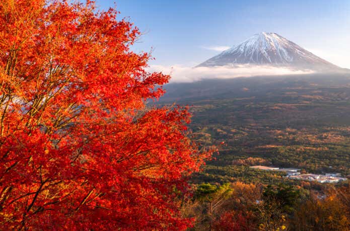 紅葉台
