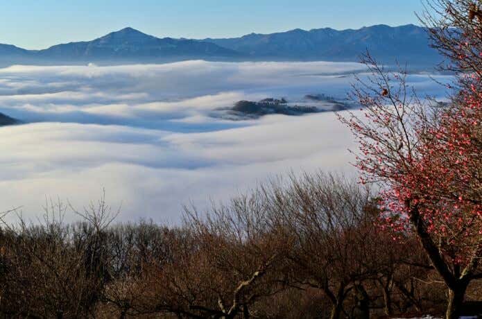 雲海