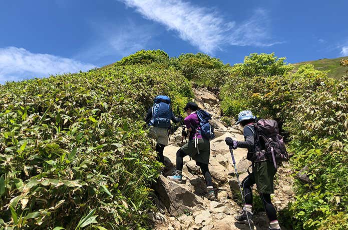 夏の登山イメージ