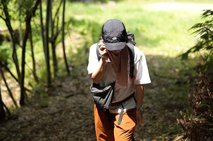 低山で登山