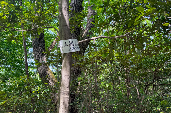 大黒山山頂