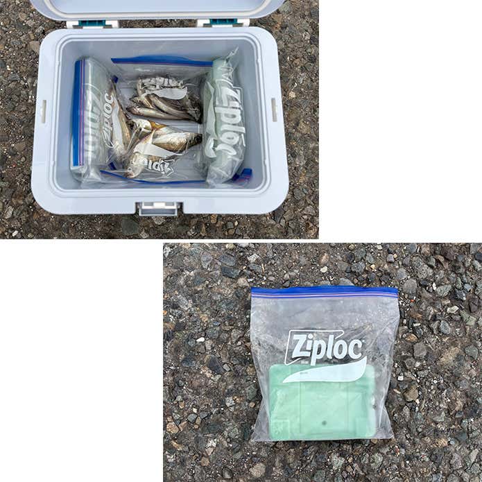 釣り　釣った魚をスマートに持ち帰り