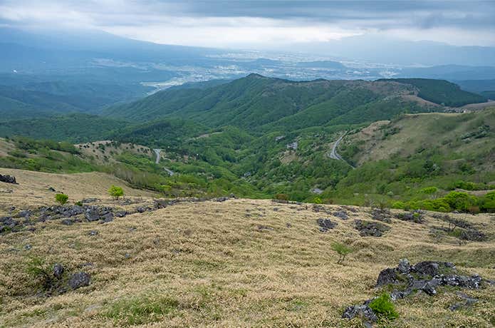 霧ヶ峰のきれいな草原