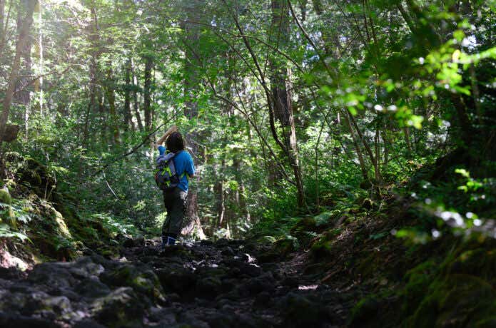暑い夏に登山をする人