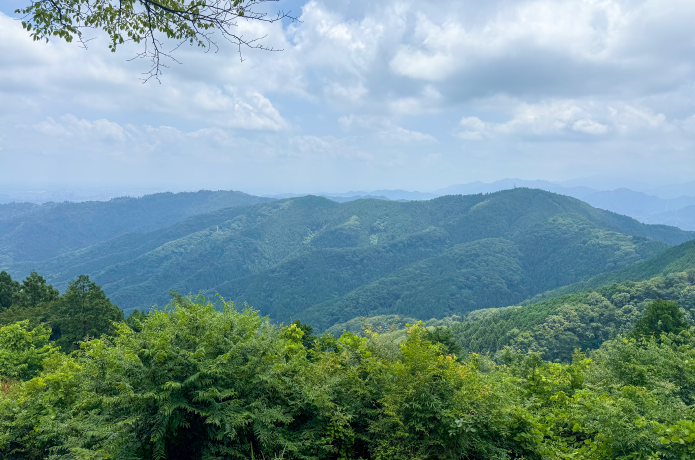 景信山山頂