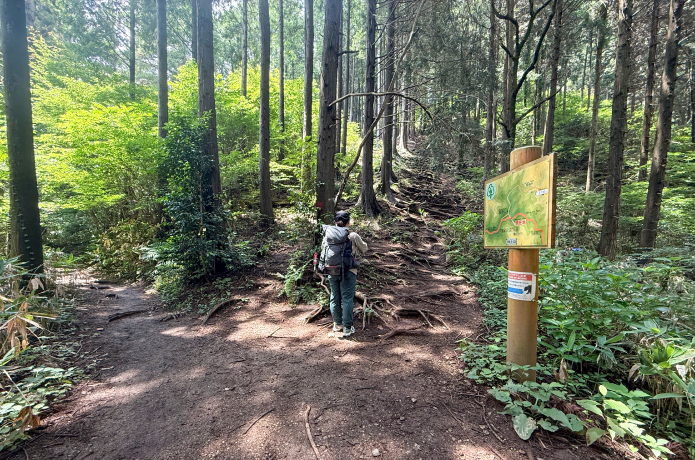 堂所山と巻道の分岐