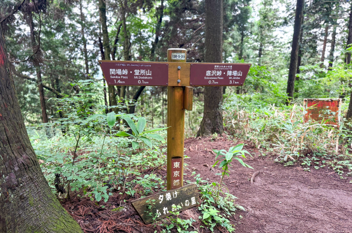 堂所山山頂近くの分岐