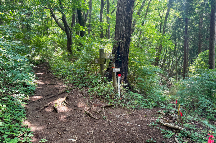 虎杖沢の頭に向かう登山道