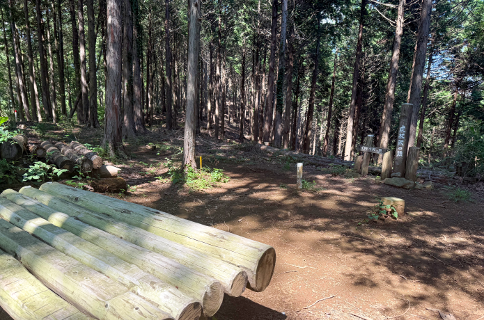虎杖沢の頭