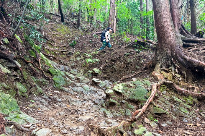 やや勾配のある登山道