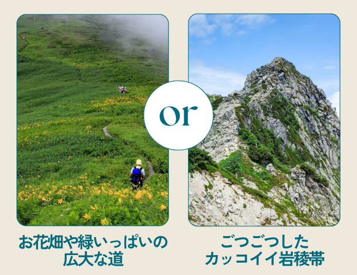 お花畑や緑いっぱいの広大な道/ごつごつしたカッコイイ岩稜帯