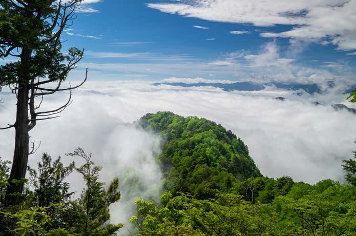 両髪山の山容