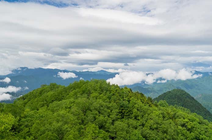 両髪山の山容
