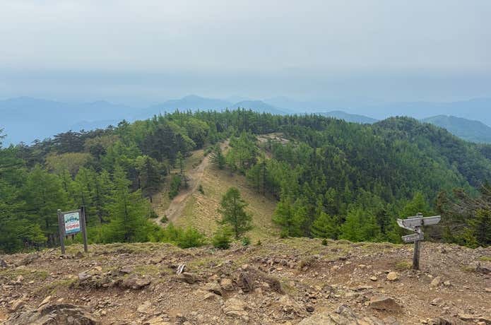 雲取山の稜線