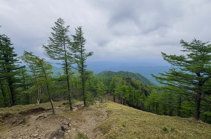 雲取山の稜線