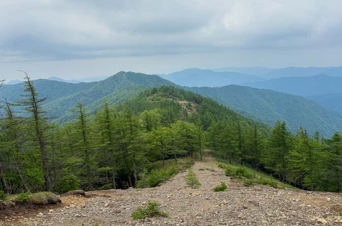 雲取山の稜線