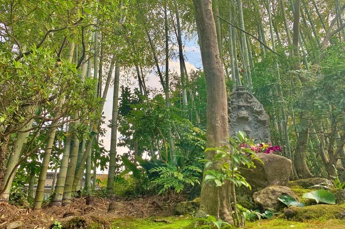 報国寺の竹林