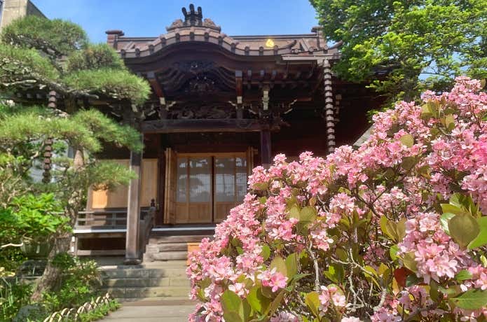 大巧寺