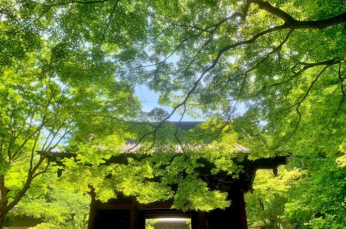 妙本寺の山門・二天門
