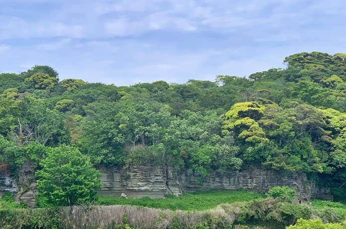 猿畑山からの大切岸