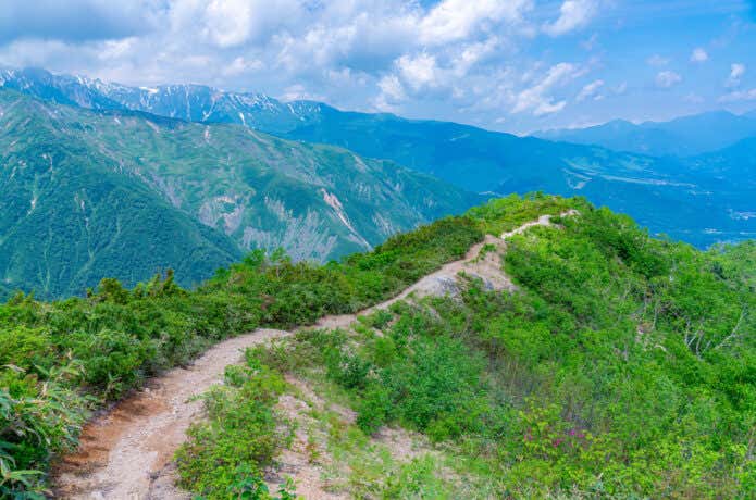 小遠見山へ続く尾根道