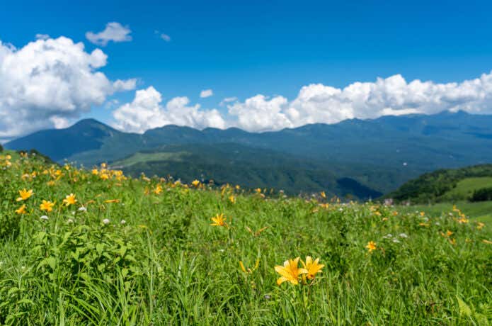 辛くないのに絶景が楽しめる登山コースを見どころとともにご紹介