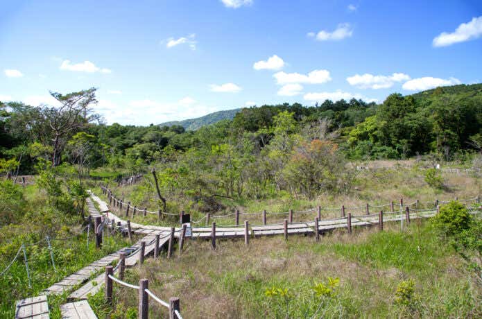 葦毛湿原