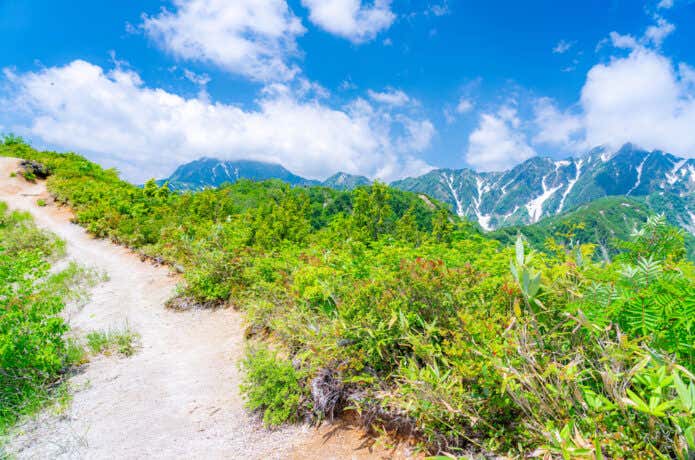小遠見山へ続く尾根道