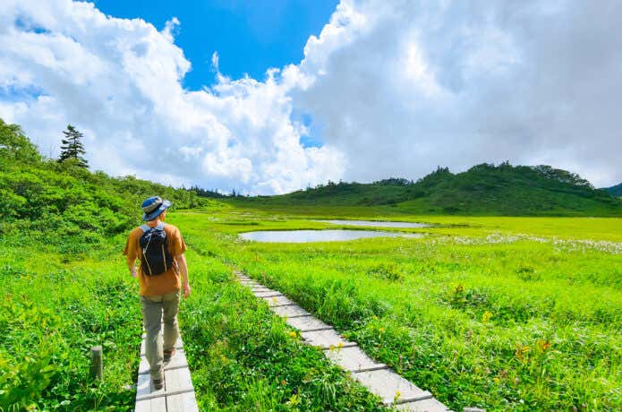 軽登山靴でも歩ける、のぼり坂が少なめのコース