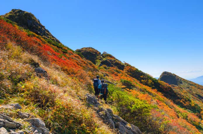 紅葉の谷川岳稜線を歩く登山者・秋晴れの絶景
